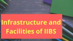 International Institute of Business studies